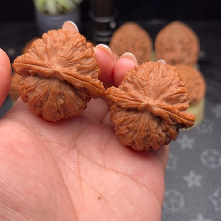 文玩核桃把件玉化皮精品白狮子41尺