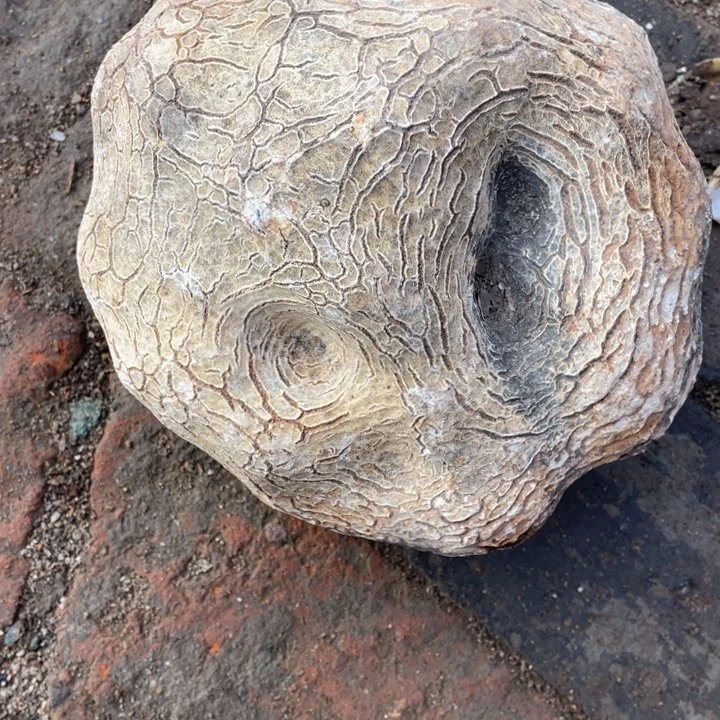 称***意有机玻璃奇石怪石摆件