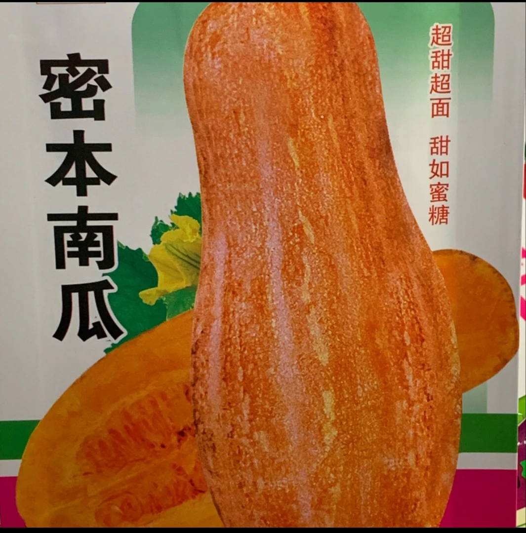 蜜本南瓜种子（新老包装随机发货）