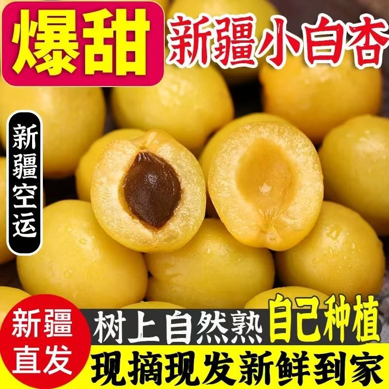 【京东/顺丰空运/礼盒装】新疆小白杏轮台白杏新鲜应季水果纯甜杏子