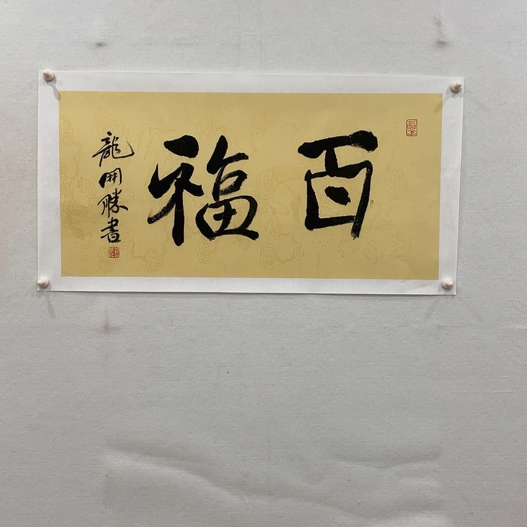 横款博航艺术书法作品集