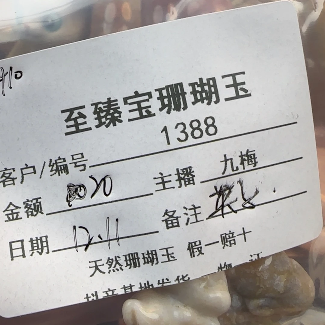 *****硅化珊瑚（珊瑚玉）未镶嵌颈饰