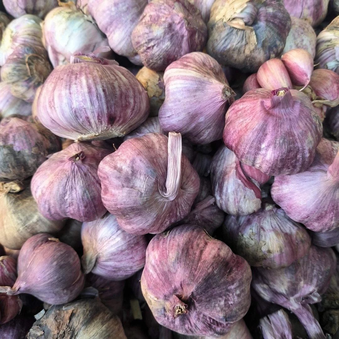 正宗云南农家自产瓣蒜香味浓辣味足炒菜特别香老品种醋蒜腊八蒜