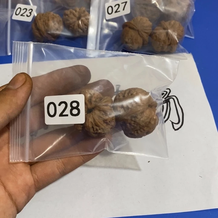 文玩核桃吊坠福利