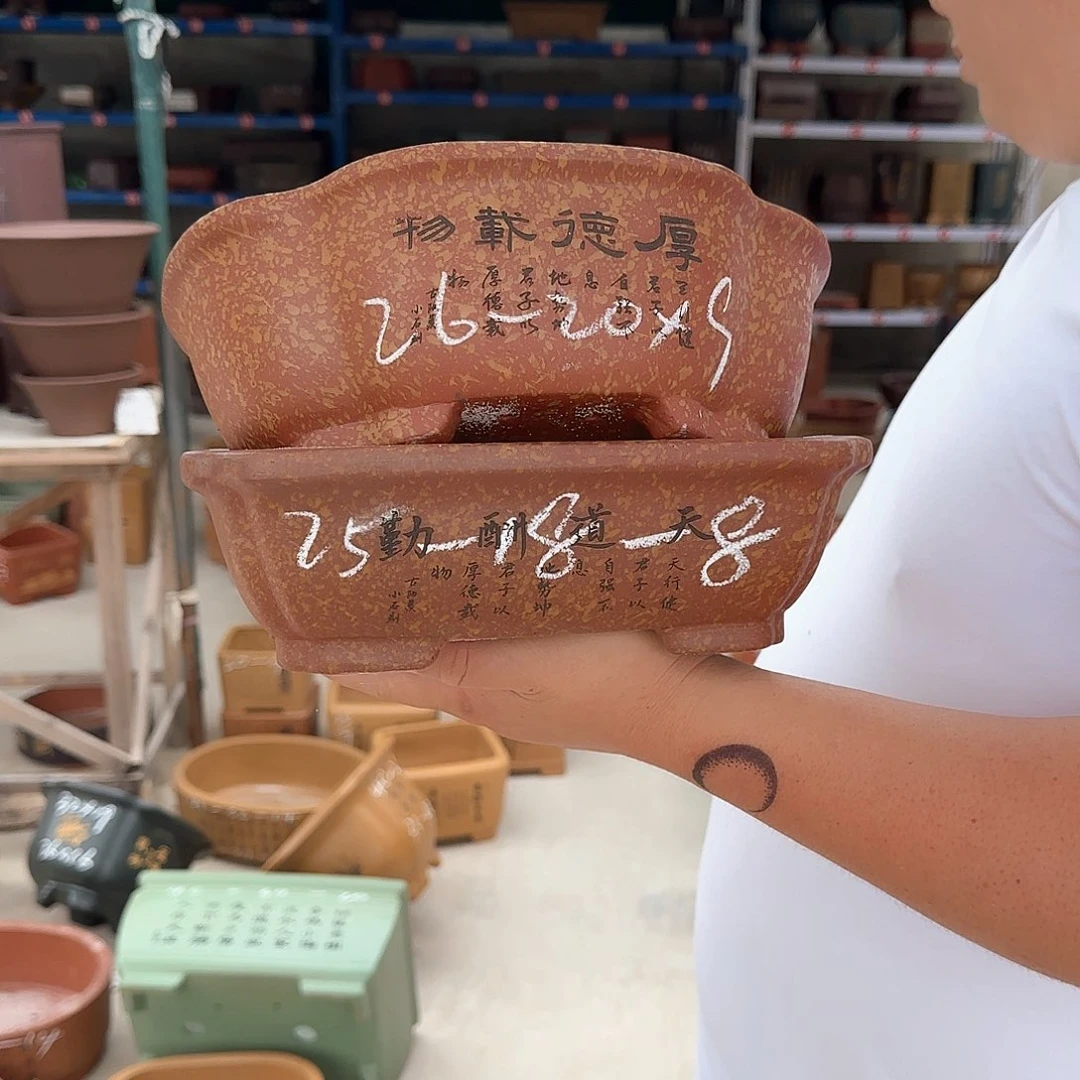 紫砂花盆这是我第一