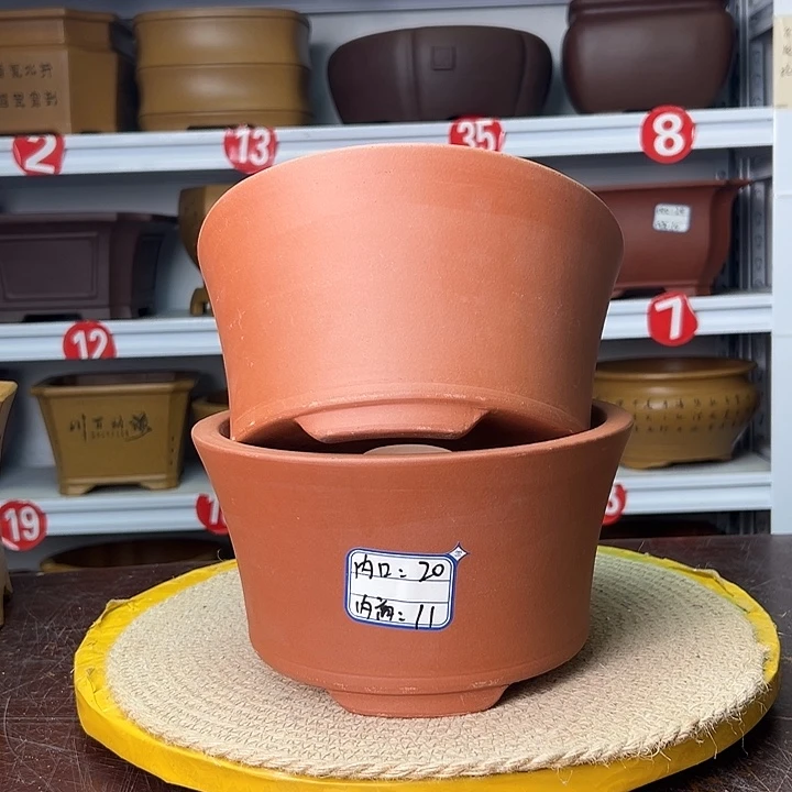 花盆紫砂蛇年大吉