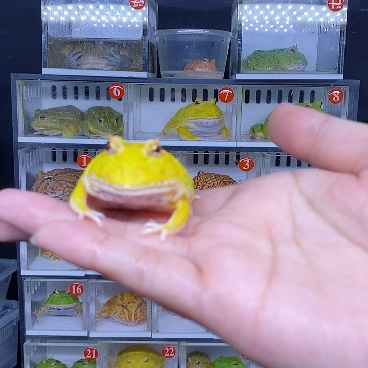 特价秒杀现货特价残
