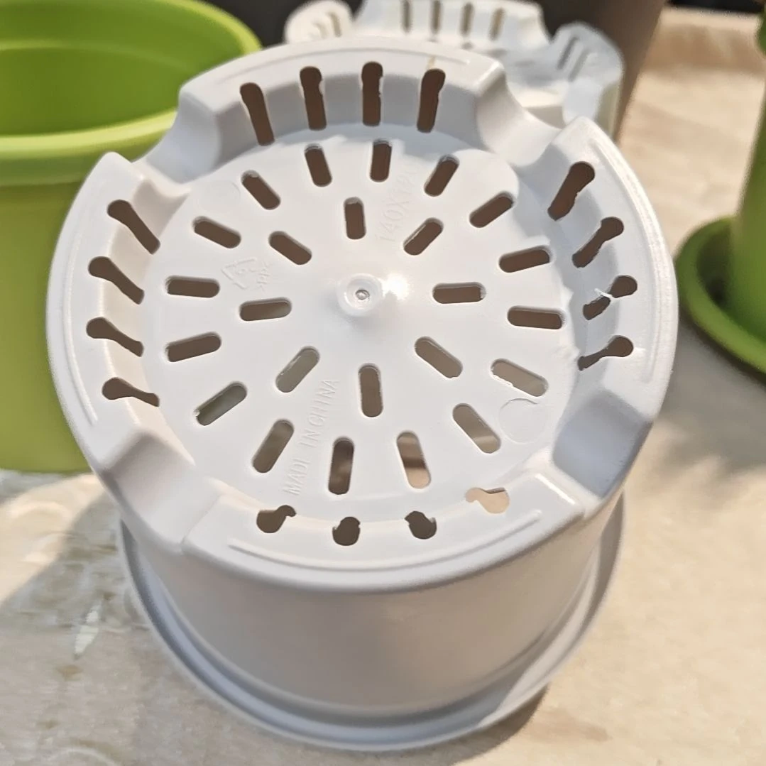 四季盆外口径14高12，灰白无拖12个