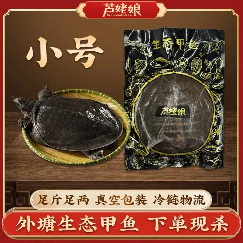 正宗外塘去油脂甲鱼新鲜真空包装营养煲汤S