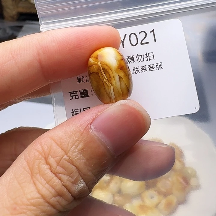 裸石琥珀未镶嵌琥珀
