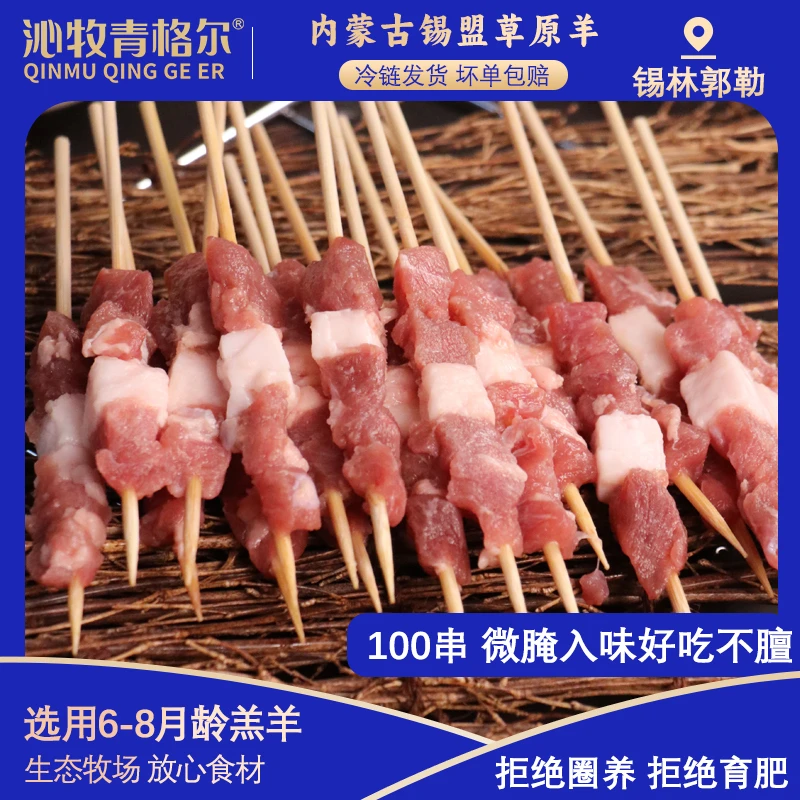 羊肉串 沁牧青格尔内蒙古锡盟草原羔羊羊腿肉串200g*5袋（100串)