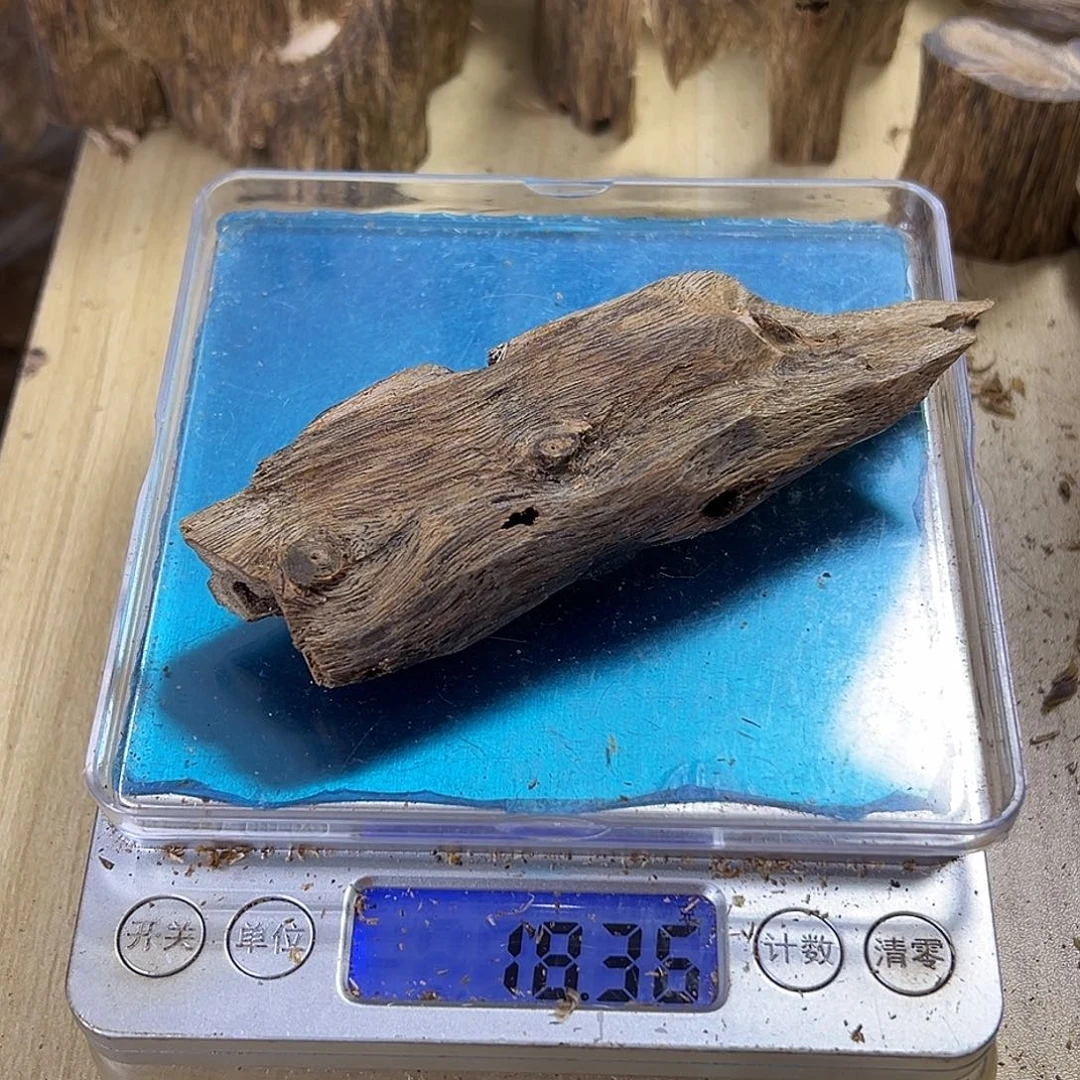 香料绿奇楠虫漏18克乌身