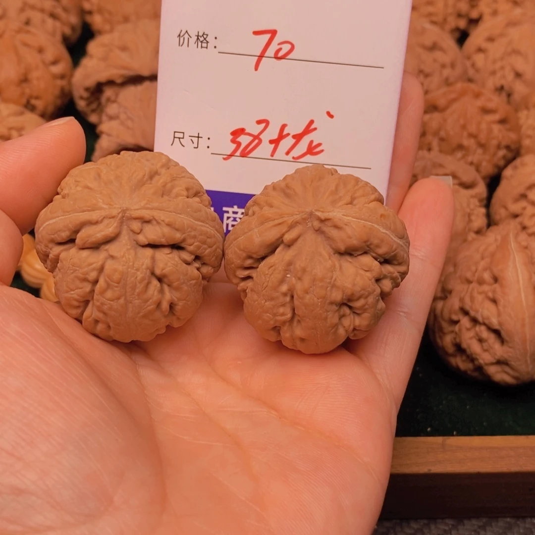 @***阳文玩核桃霸王龙核桃