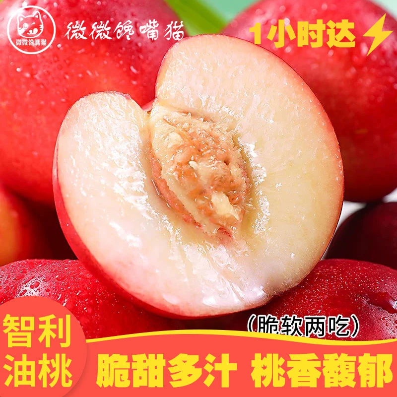 智利油桃500g（一小时送达）