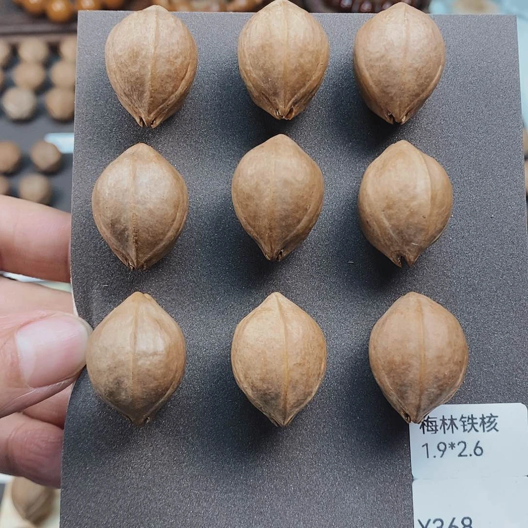 橄榄核手串/手链梅林铁核19×26精挑素串一物一拍