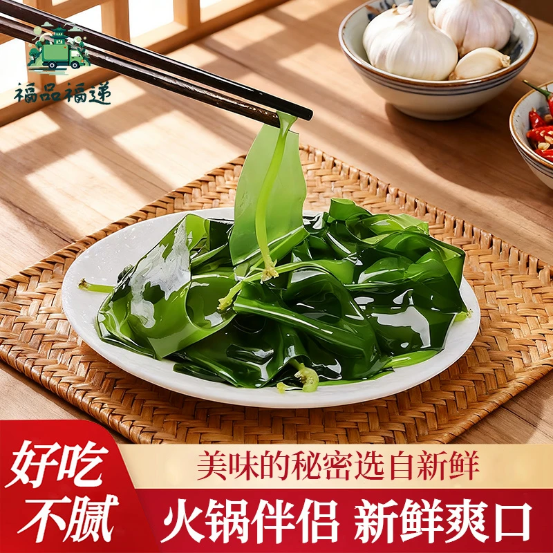 【福品福递】海带嫩苗少盐3秒即食火锅菜凉拌菜炖汤网红优质海带苗