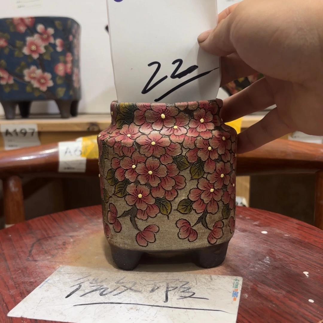 康***莫哈哈哈哈哈哈哈哈