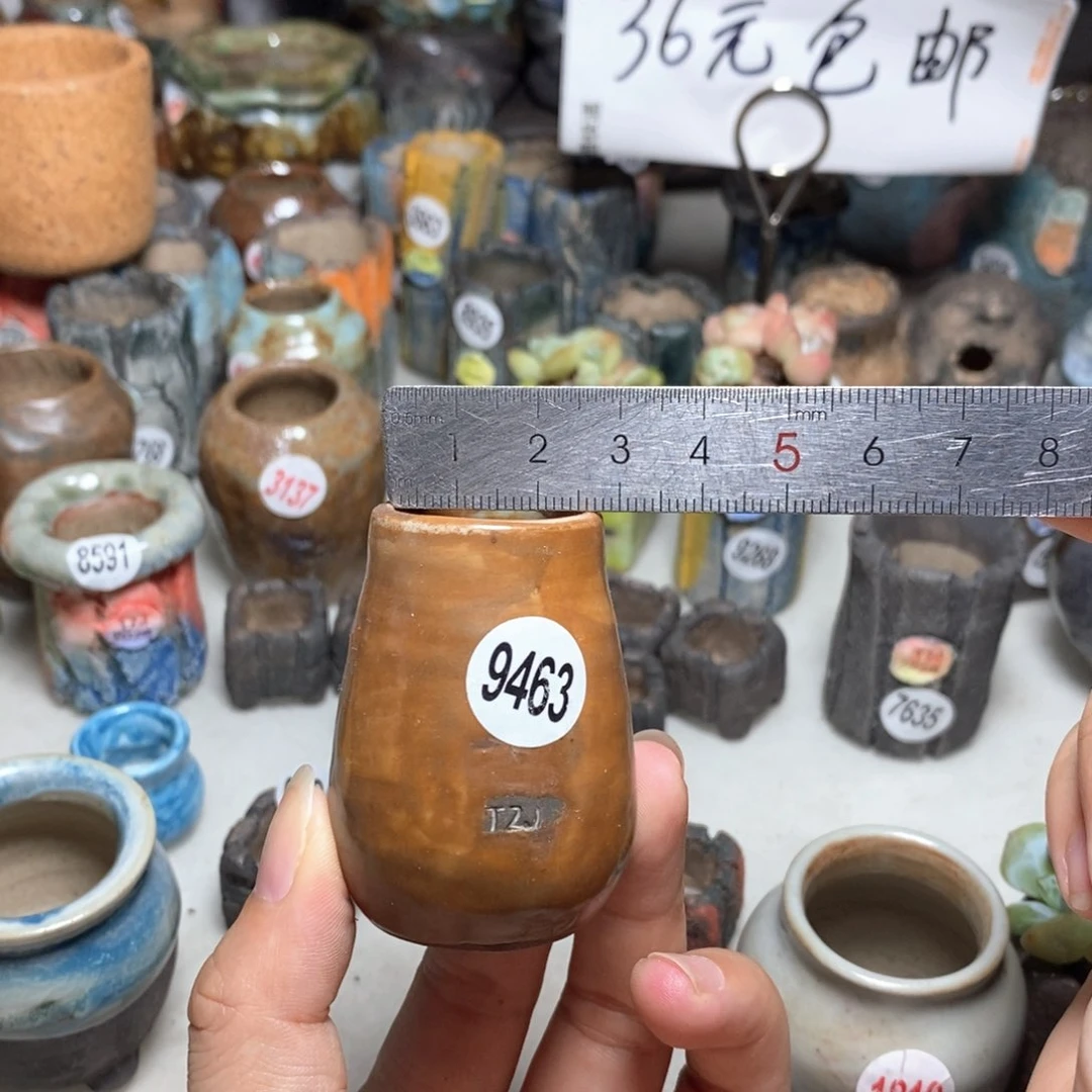 拍5送一个小礼物