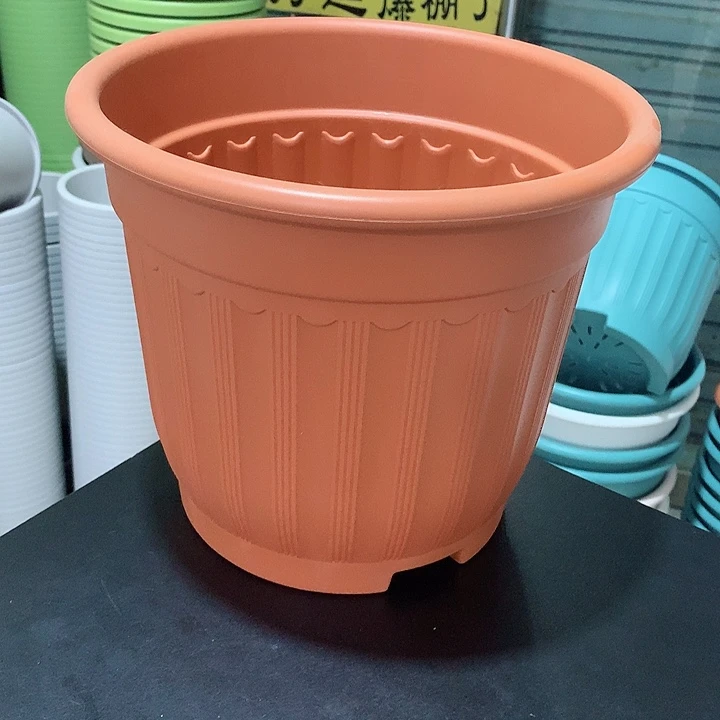 罗马口28红5个无托
