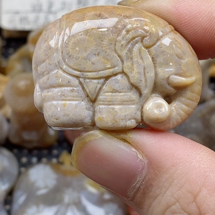 颈饰未镶嵌硅化珊瑚（珊瑚玉）