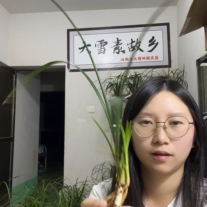 大部分开放少量花苞