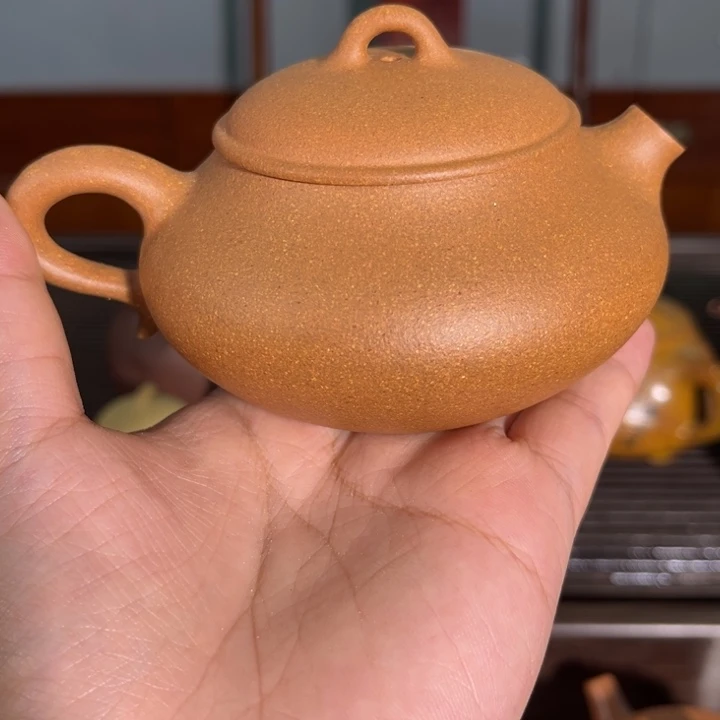 茶壶紫砂紫砂…………………………
