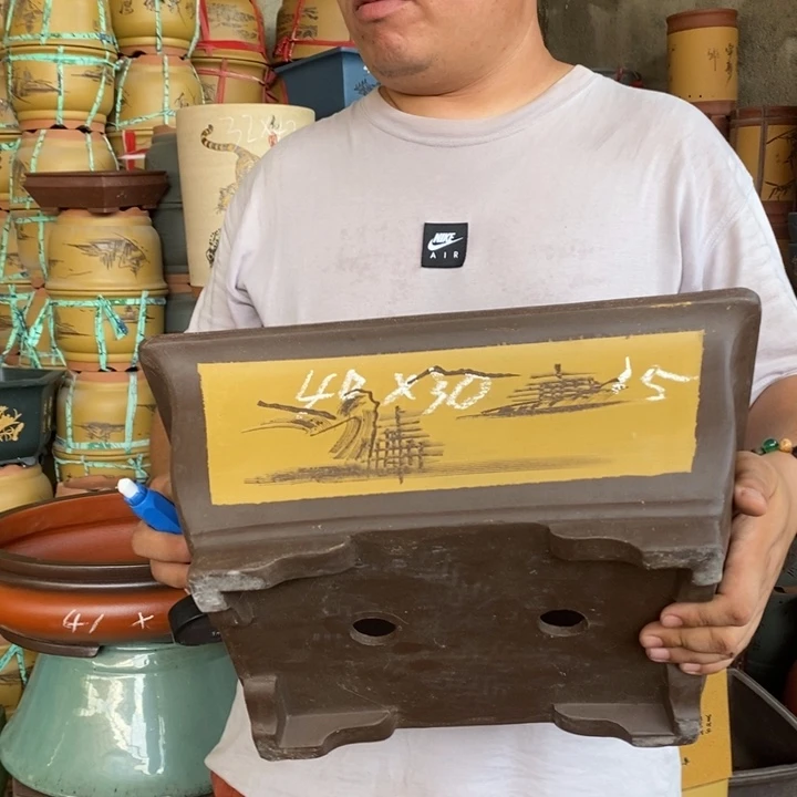 紫砂花盆盆栽花卉苗木种植