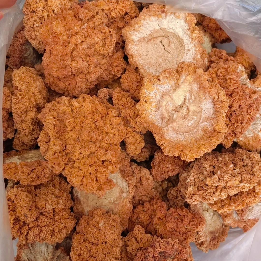 【黔货小鑫】 农家特产代收山货金耳