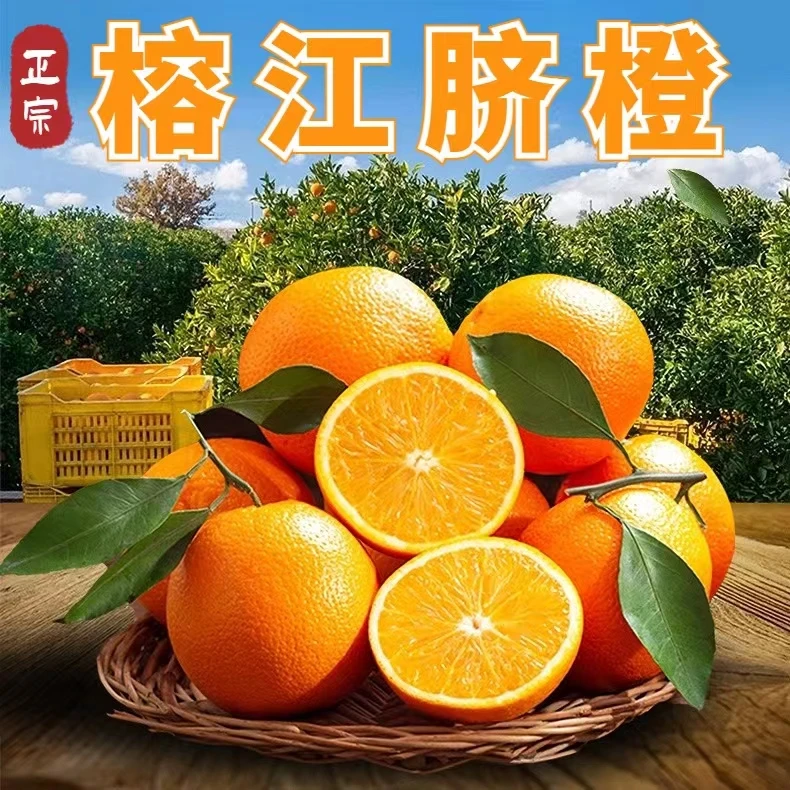 贵州村超圣地榕江高山脐橙应季水果爆甜汁多