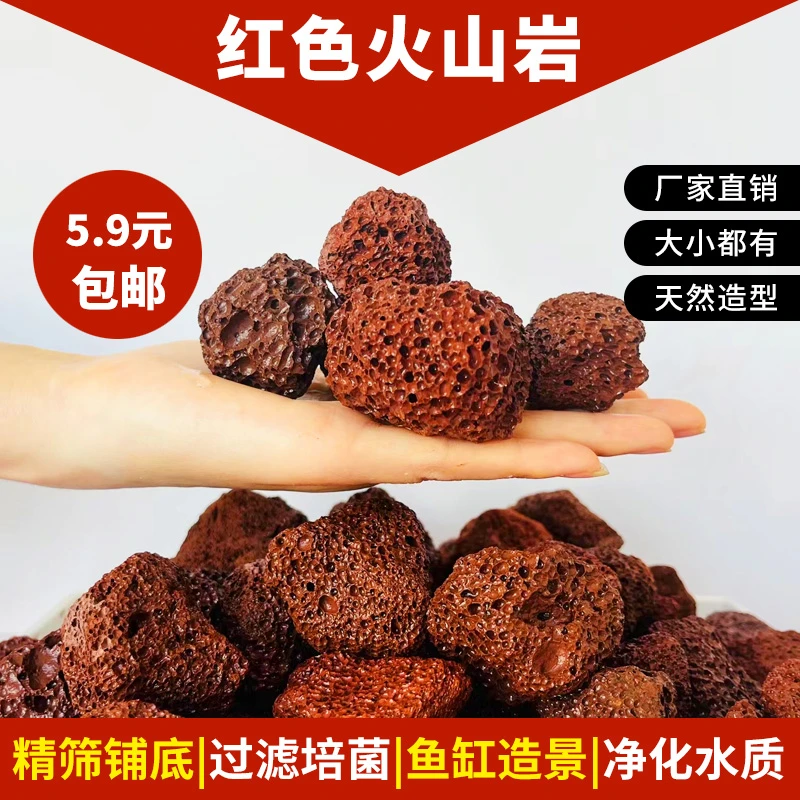 天然红色火山石水族过滤材料鹦鹉罗汉鱼缸铺底净水古法养鱼造景
