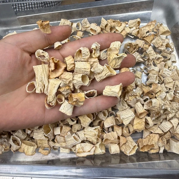 羊肚菌菌脚包饺子炖汤包包子