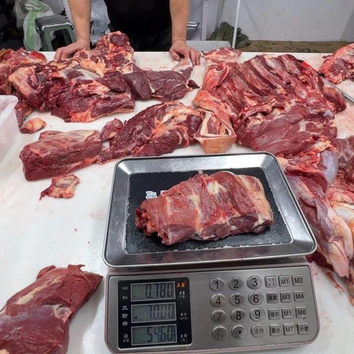 美***心12个月中国大陆马护心肉马脖子