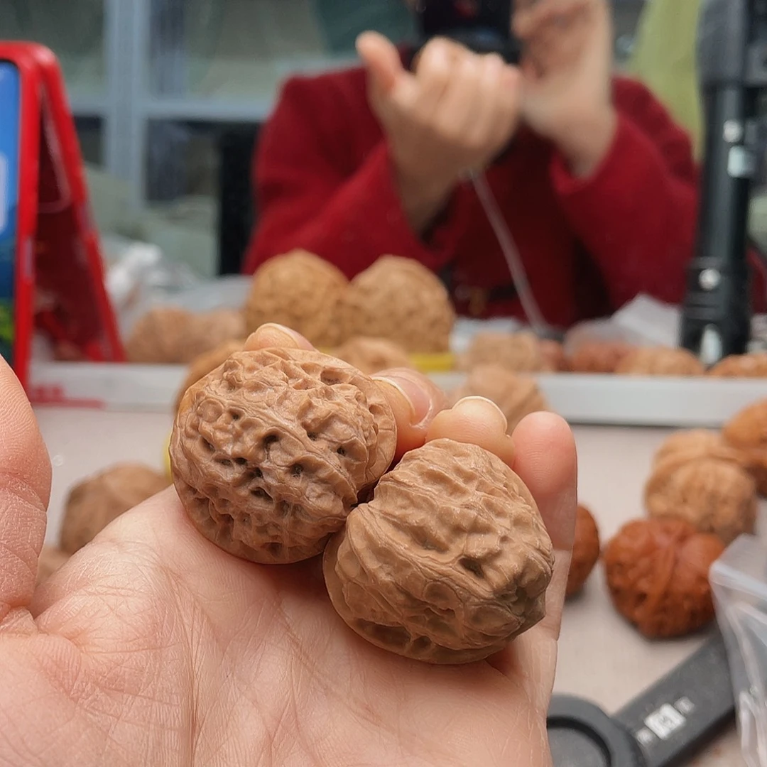 Z*M三棱草和五棱草三