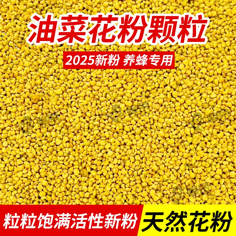 蜂荣油菜【2025】新粉花粉油菜喂蜂产地品质优良包邮繁蜂口粮