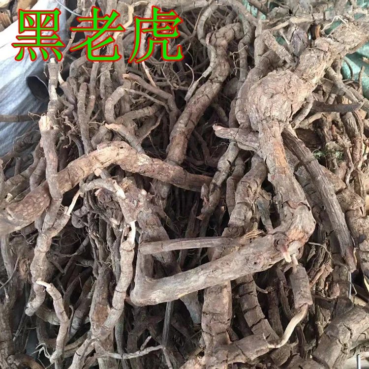 黑老虎根 过山风 钻骨风 冷饭团 钻地风1斤