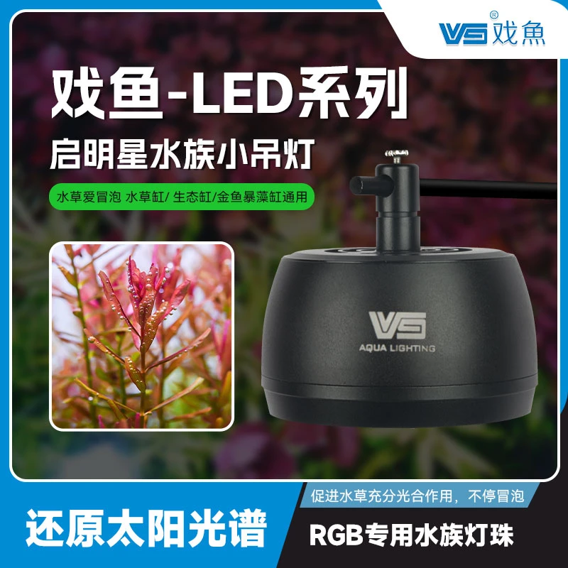 戏鱼迷你鱼缸LED灯小吊灯筒灯溪流缸水草缸原始缸全光谱三基色灯
