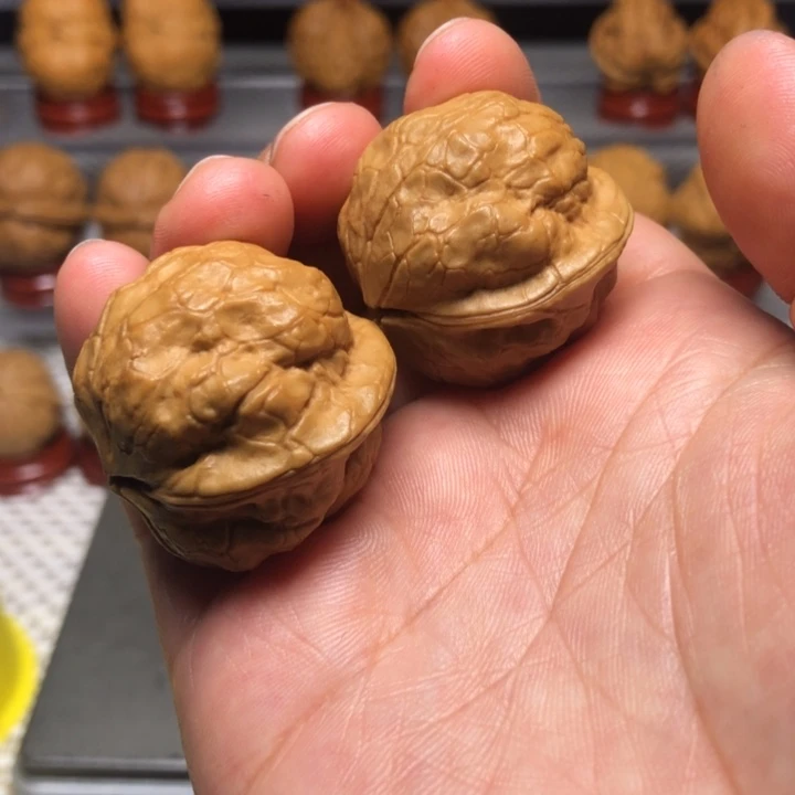 文玩核桃把件哎**！55铁鹦鹉