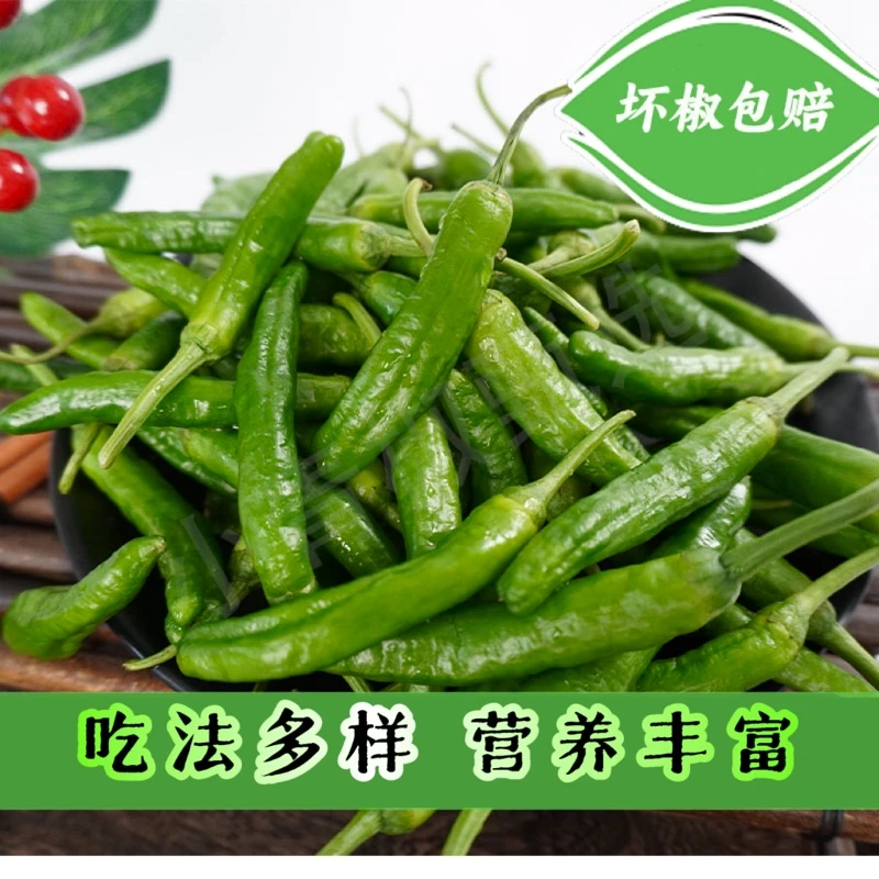 正宗樟树港原种辣椒