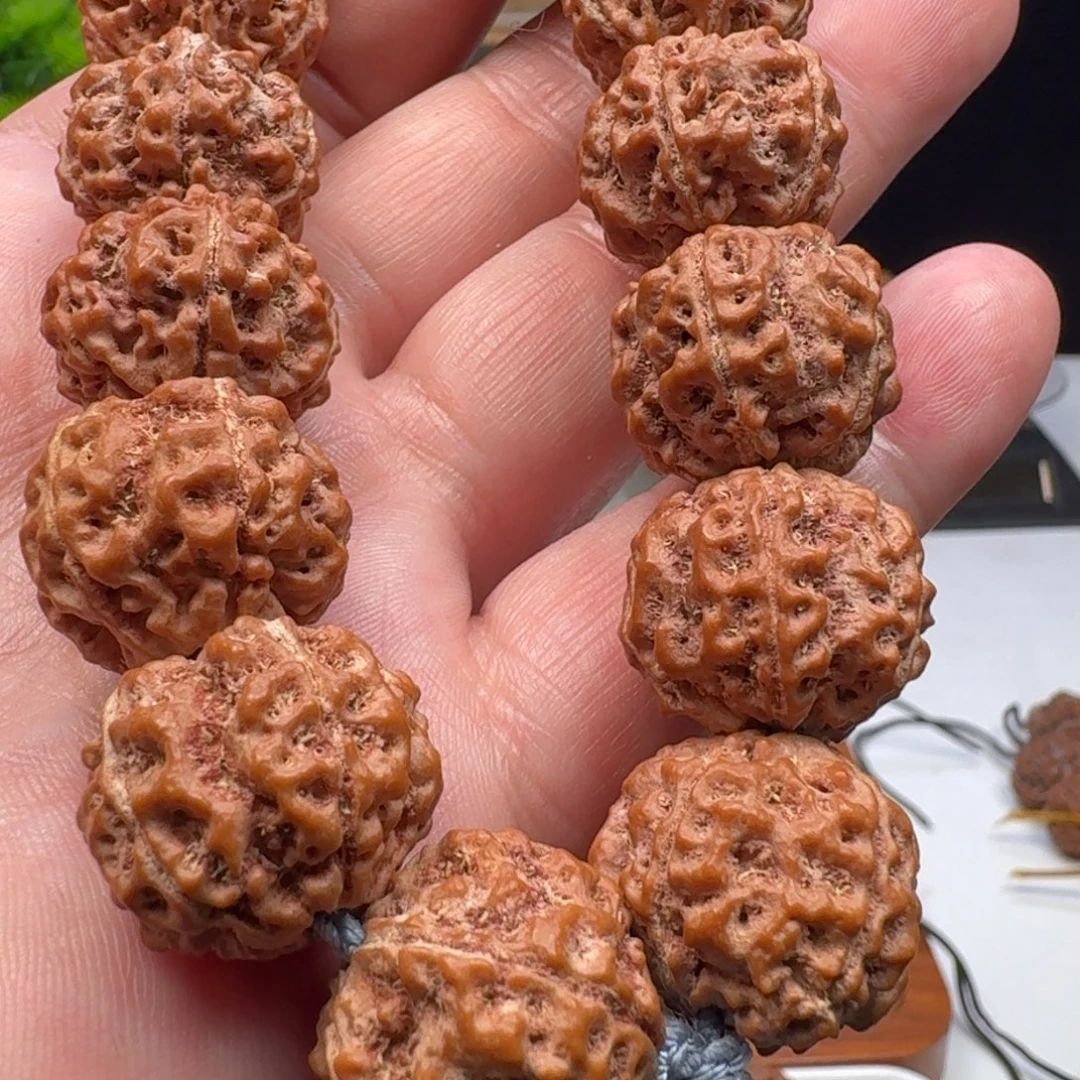 手串金刚菩提五星蜂王籽