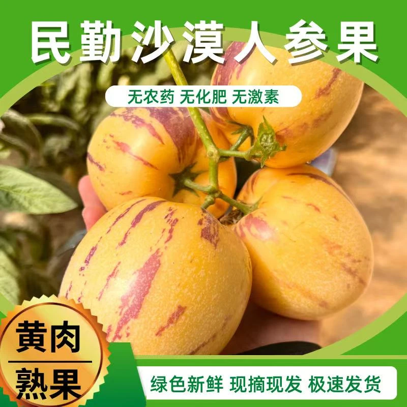 甘肃民勤人参果当季新鲜黄肉熟果低糖整箱5斤150克+