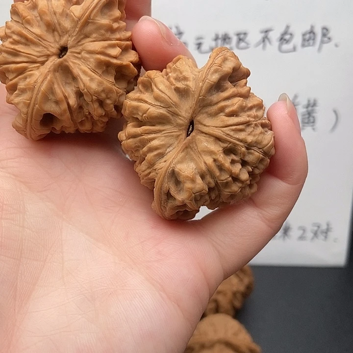 停***示大大大大大大官帽