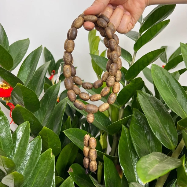 沉香11-12mm海南老白棋薄荷凉白棋留疤多圈40g+多样性发一条