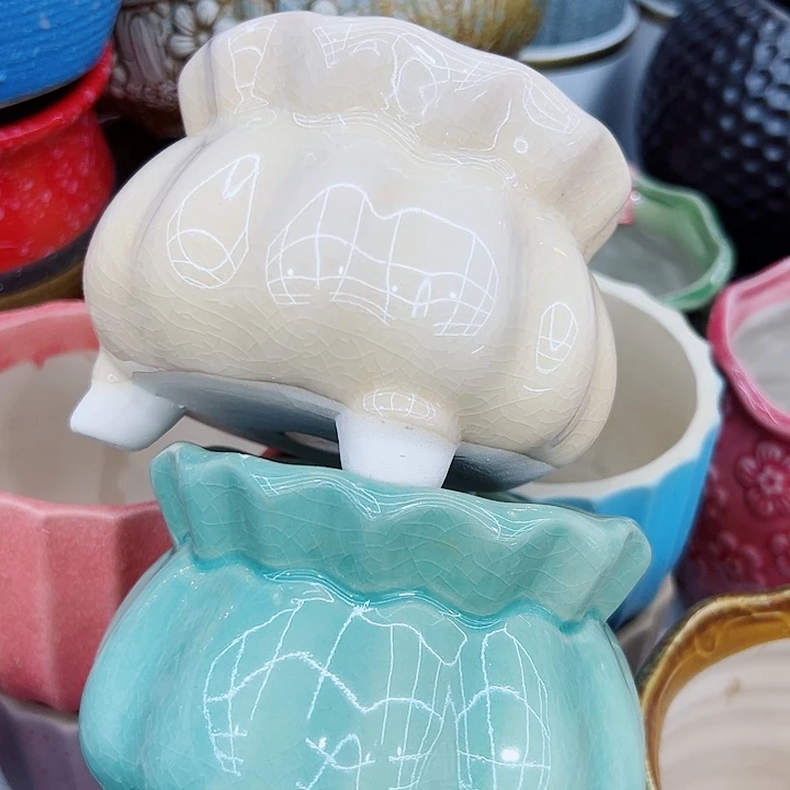 多肉植物陶瓷花盆