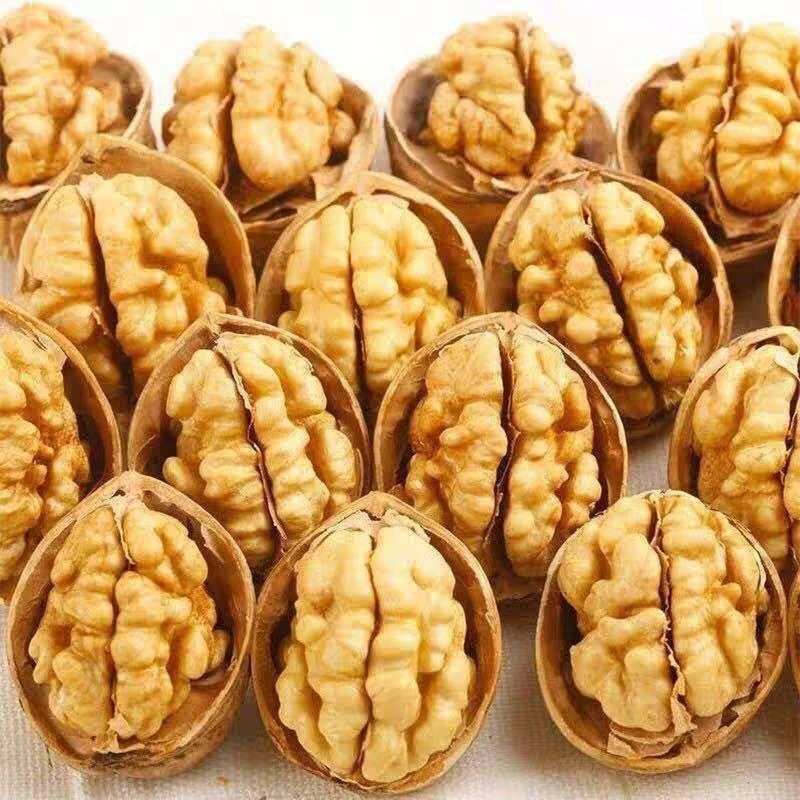 【新疆特产阿克苏185纸皮核桃】手剥薄皮薄壳核桃零食坚果营养