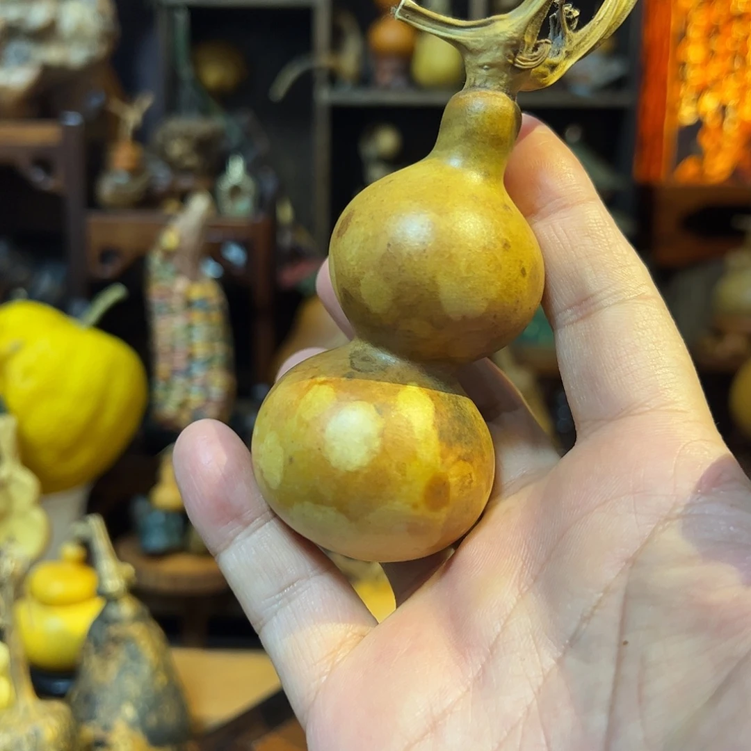 G***d大叶紫檀（黑酸枝木类）