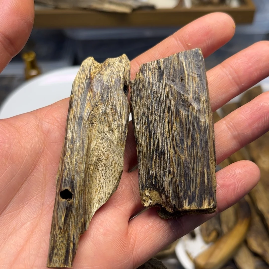 沉香碎屑沉香【紫棋品种】海南奇楠虫漏23克