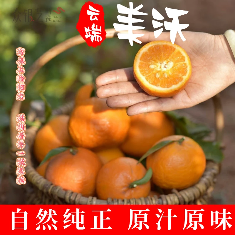 高原沃柑 攀枝花阳光水果 甜美多汁包邮新鲜采摘山地种植自然成熟