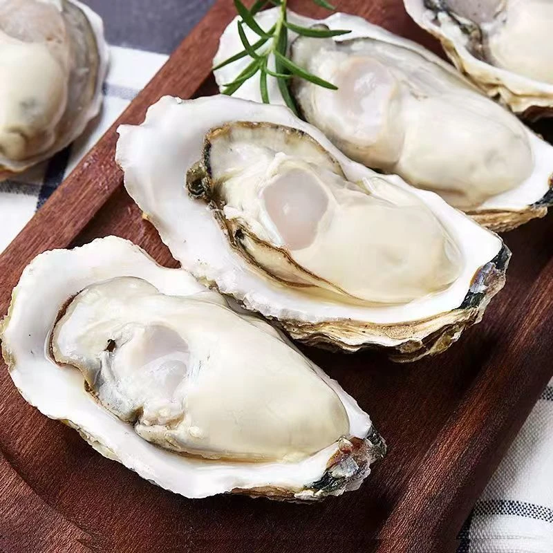 乳山生蚝  5+生蚝 可生吃 保鲜不保活