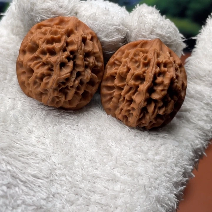 核桃我国的经济发展和社会进步