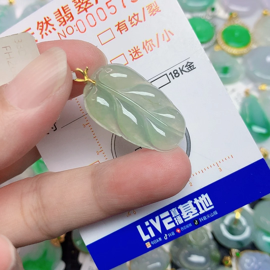 翡翠18K金镶嵌颈饰3555885